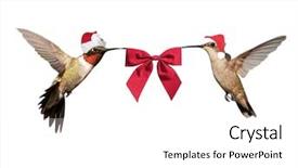  Presentation with red flight - Beautiful presentation design featuring two hummingbirds in flight wearing backdrop and a white colored foreground