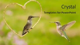  Presentation with hummingbirds - Amazing PPT layouts having two hummingbirds with a golden backdrop and a gold colored foreground