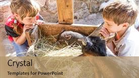  Presentation with domestic animals - Theme having two kids - boy and girl background and a coral colored foreground