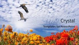  Presentation with birds flying - Presentation design having two large birds flying high background and a light blue colored foreground