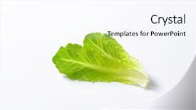  Presentation with lettuce - Cool new presentation with two leaves of romaine lettuce backdrop and a cool aqua colored foreground