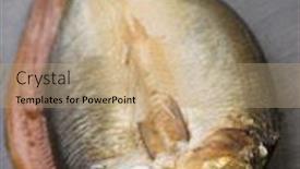  Presentation with rainbow loch - Slides consisting of two-loch-fyne-kippers background and a coral colored foreground