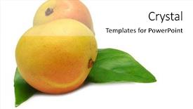 Presentation with leaves - PPT theme enhanced with two mangoes with leaves isolated background and a  colored foreground