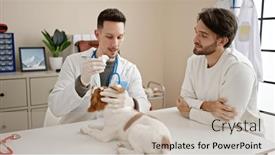  Presentation with veterinary - 