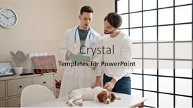  Presentation with veterinary - 