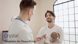  Presentation with veterinary - Presentation theme enhanced with two-men-petting-dog background and a light gray colored foreground