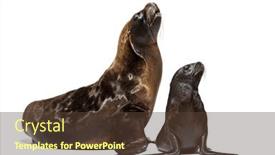  Presentation with old - Slide set enhanced with two-months-old-pup background and a tawny brown colored foreground