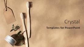  Presentation with leaves flat lay - Slide set with two-natural-wooden-toothbrushes background and a coral colored foreground
