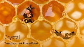  Presentation with babies - Theme having two-newborn-babies-in-bee background and a gold colored foreground