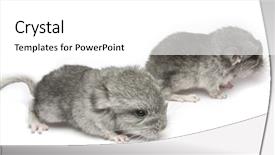  Presentation with newborn - Theme having electrical - computer board with lots background and a teal colored foreground