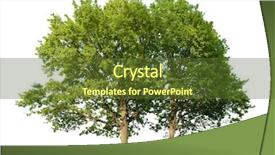  Presentation with oak tree - PPT layouts consisting of two oak trees isolated background and a tawny brown colored foreground
