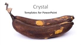  Presentation with old - Presentation with two-old-overripe-bananas-isolated background and a white colored foreground