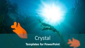  Presentation with pacific - Amazing slides having two-orange-garibaldi-fish-swim backdrop and a ocean colored foreground