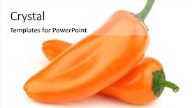  Presentation with capsicum - Audience pleasing presentation theme consisting of two orange peppers capsicum backdrop and a white colored foreground