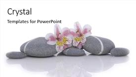  Presentation with orchid - Theme having two orchid and striped stones background and a white colored foreground