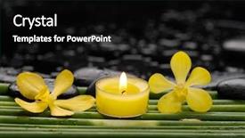  Presentation with stem - Colorful PPT layouts enhanced with two orchid with pebbles and green stem on wet background backdrop and a black colored foreground