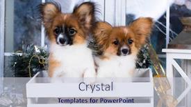  Presentation with scenery - Presentation design with two-papillon-puppies-in-winter background and a lemonade colored foreground