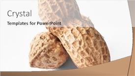  Presentation with peanuts - PPT layouts with two-peanuts-with-shell-isolated background and a white colored foreground