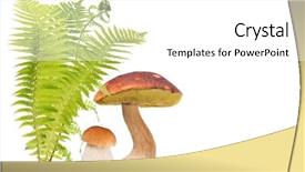  Presentation with white green - Slide deck featuring two penny buns in green background and a white colored foreground