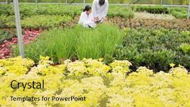  Presentation with lab coats - Theme featuring two people in lab coats background and a yellow colored foreground