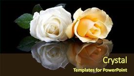  Presentation with yellow rose - Amazing PPT theme having two perfect roses a yellow backdrop and a tawny brown colored foreground
