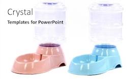  Presentation with water fountain - Beautiful presentation theme featuring two-pet-drinking-water-fountain backdrop and a white colored foreground