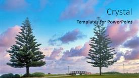  Presentation with pine trees - Theme enhanced with two-pine-trees background and a light blue colored foreground