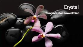  Presentation with stem - Amazing PPT layouts having two-pink-flower-with-stem backdrop and a dark gray colored foreground