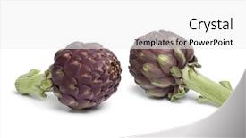  Presentation with purple - Amazing PPT theme having two whole fresh purple artichoke isolated on white background backdrop and a white colored foreground