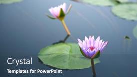  Presentation with purple flowers - Presentation design featuring two-purple-lotus-flowers background and a ocean colored foreground