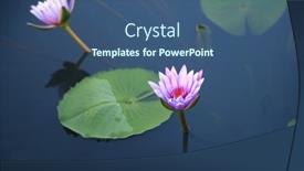 Presentation with purple flowers - Presentation design enhanced with two-purple-lotus-flowers background and a ocean colored foreground