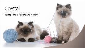  Presentation with yarn - Theme featuring a ball of yarn background and a white colored foreground