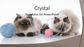  Presentation with yarn - Slide set consisting of a ball of yarn background and a white colored foreground