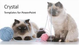  Presentation with yarn - Slide deck enhanced with a ball of yarn background and a white colored foreground