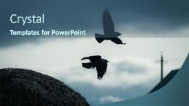 Presentation with fly - Slide deck with two-ravens-silhouette-fly-over background and a ocean colored foreground