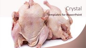  Presentation with chicken - Colorful slide set enhanced with two-raw-chicken-carcass-isolated backdrop and a lemonade colored foreground