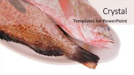  Presentation with ceramic - Amazing slide deck having two raw fresh bass fish backdrop and a coral colored foreground