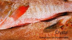  Presentation with fish - Theme consisting of two raw fresh bass fish background and a  colored foreground