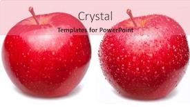  Presentation with water drops - Slides having two-red-apple-one-covered background and a coral colored foreground
