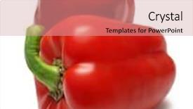  Presentation with capsicum - Amazing presentation theme having two red capsicum bell peppers isolated on white with clipping path backdrop and a coral colored foreground