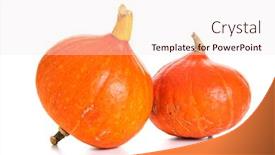  Presentation with red - Theme featuring two-red-kuri-squashes-isolated background and a sky blue colored foreground