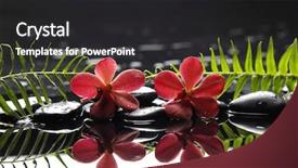  Presentation with fern - Presentation design consisting of two red orchid with fern on therapy stones background and a dark gray colored foreground