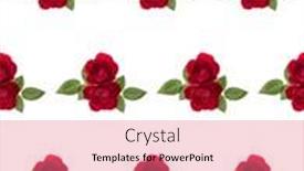  Presentation with red floral - Audience pleasing presentation design consisting of two-red-rose-flowers-isolated backdrop and a coral colored foreground