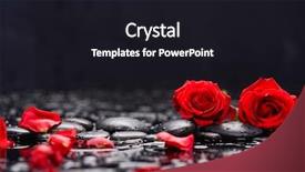  Presentation with candle - Colorful presentation theme enhanced with two red rose petals backdrop and a wine colored foreground