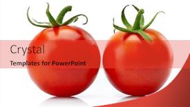  Presentation with green life - Cool new PPT theme with two-red-tomato-cherry backdrop and a red colored foreground