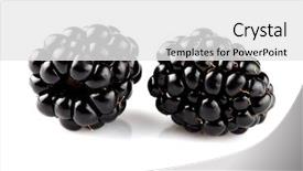  Presentation with blackberry - Colorful presentation enhanced with two ripe blackberry in closeup backdrop and a white colored foreground