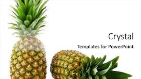  Presentation with pineapple - Presentation design with two ripe fresh pineapples isolated background and a white colored foreground