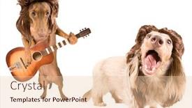  Presentation with rock star - Slide deck with two rock star dogs background and a lemonade colored foreground
