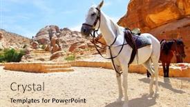  Presentation with petra - Colorful presentation enhanced with two saddle horses near mountains petra jordan backdrop and a lemonade colored foreground