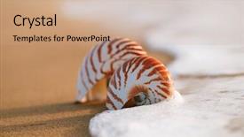 Presentation with light waves - Presentation design enhanced with two seashell nautilus on sea background and a coral colored foreground